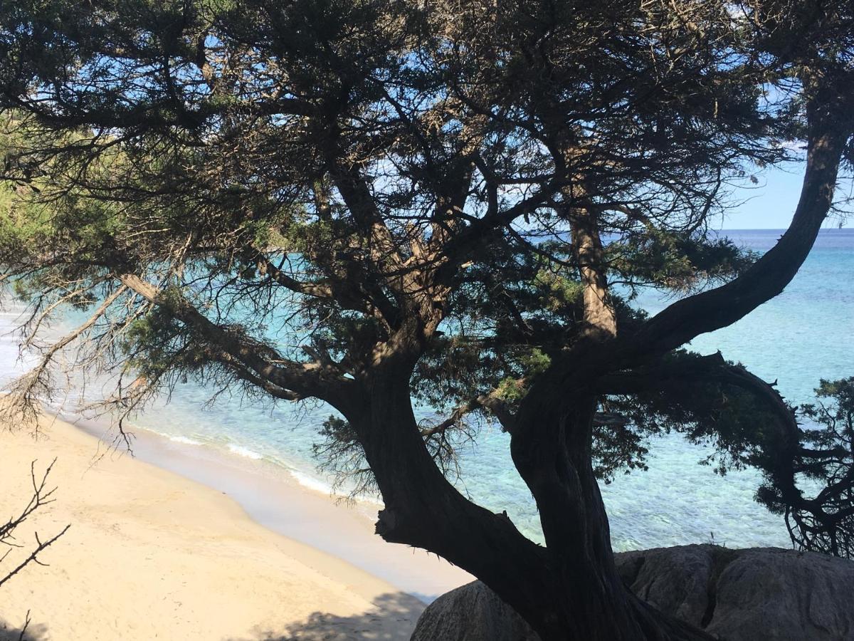 Appartamento Casa M&M Cala Gonone Esterno foto